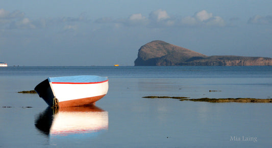 Off to Mauritius: A Photography Adventure