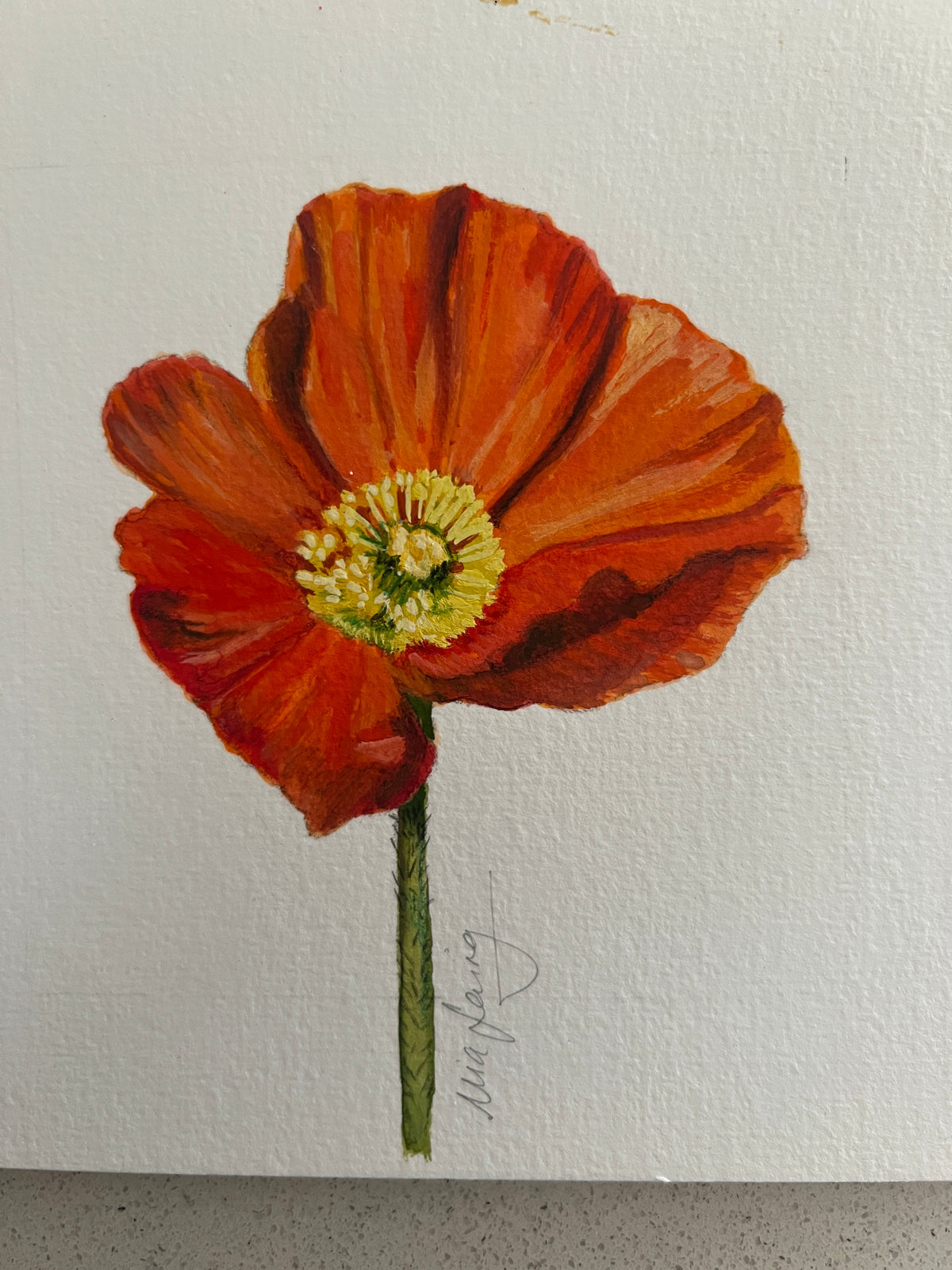Little Gouache - Poppy