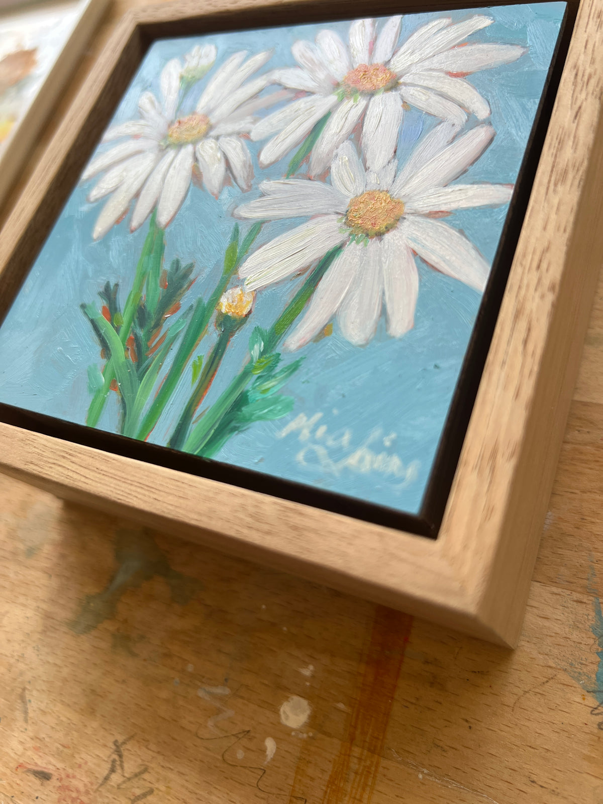 Daisies