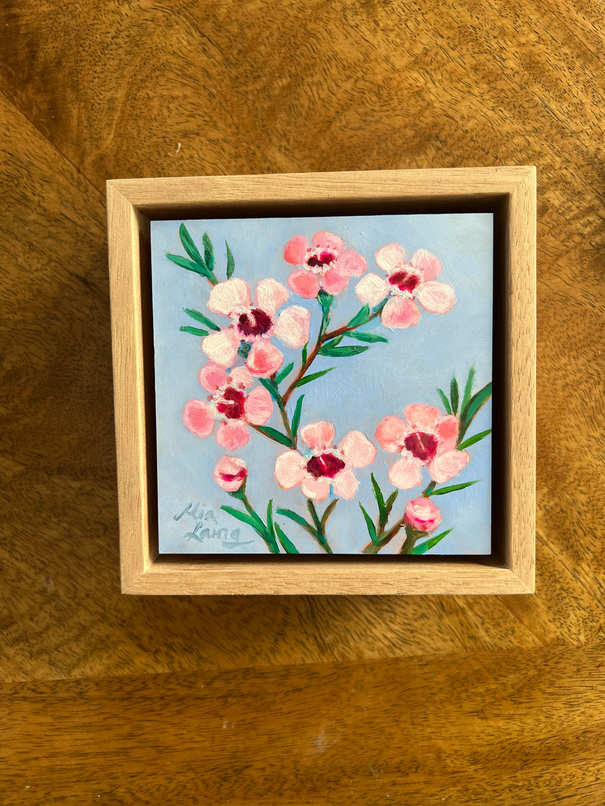 Wax Flower