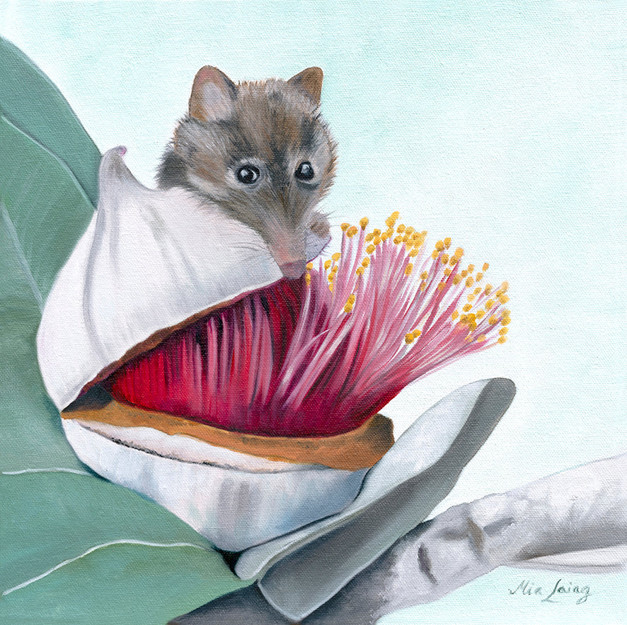 Sweet As Honey - Fine Art Print