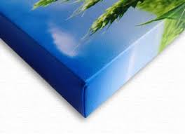 Flotsam and Jetsam - Fine Art Print