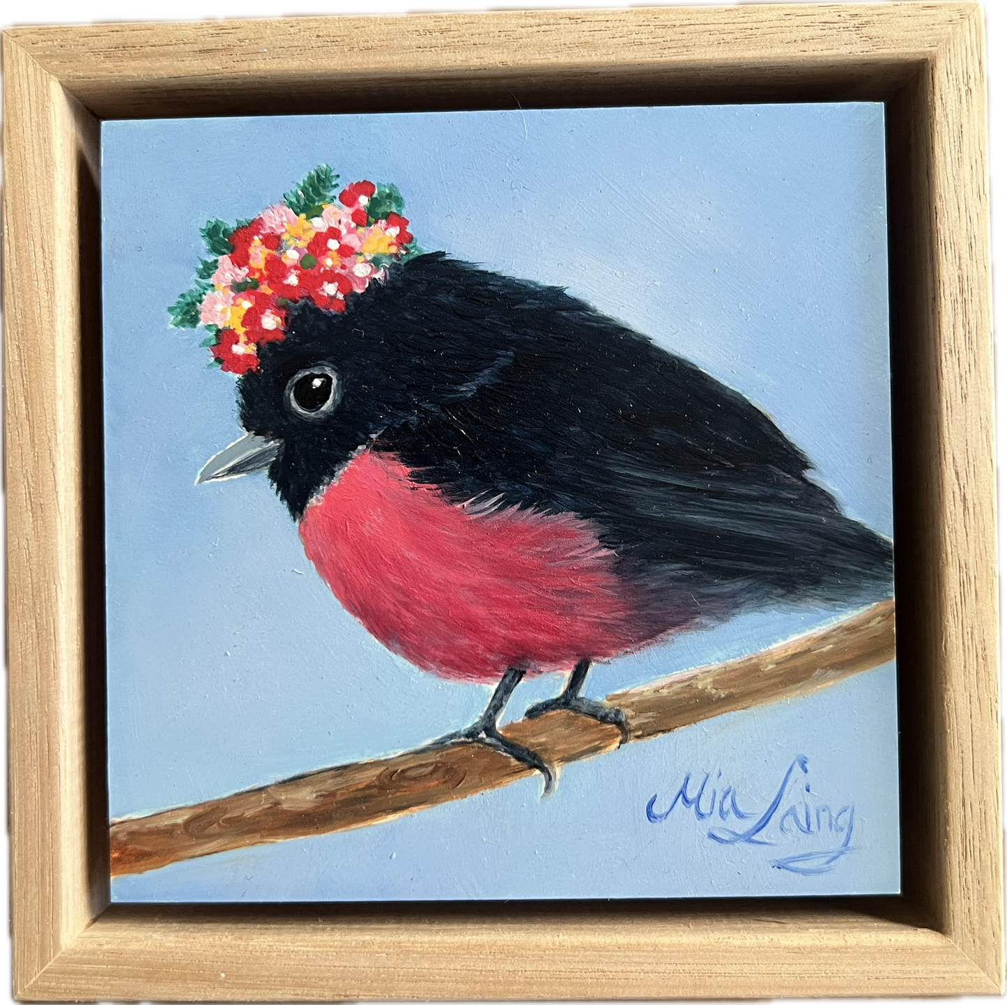 Pink Robin