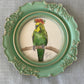 Sweet Little Thing - Green Budgerigar