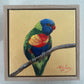 Golden rainbow Lorikeet