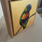 Golden rainbow Lorikeet