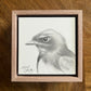 Willy Wag Tail Graphite Drawing