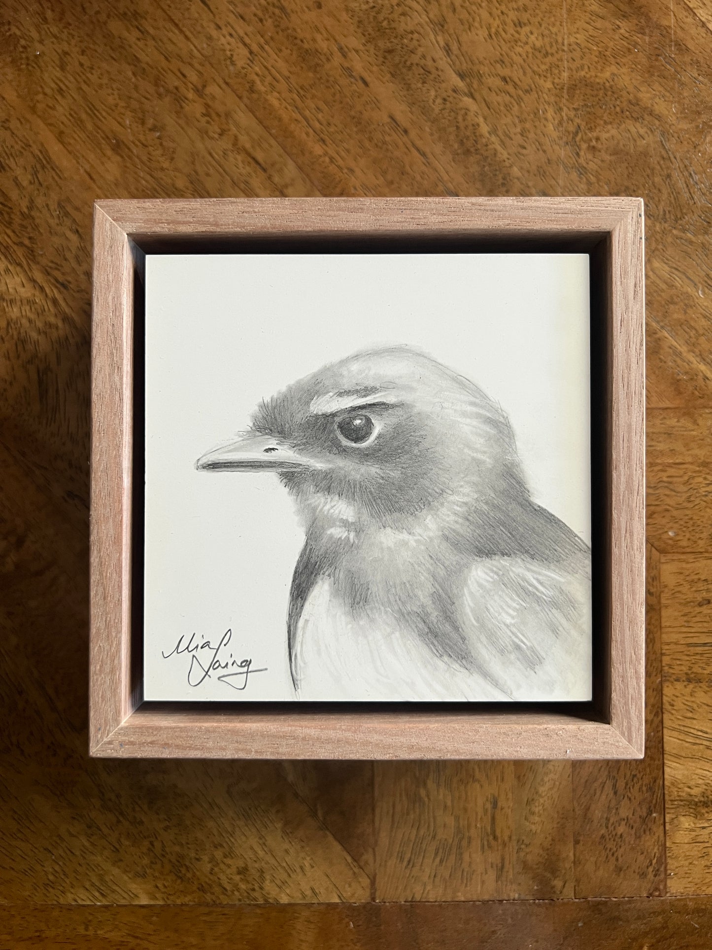 Willy Wag Tail Graphite Drawing