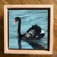 Black Swan