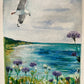 Little Paintings, Big Places - Rottnest Daisy