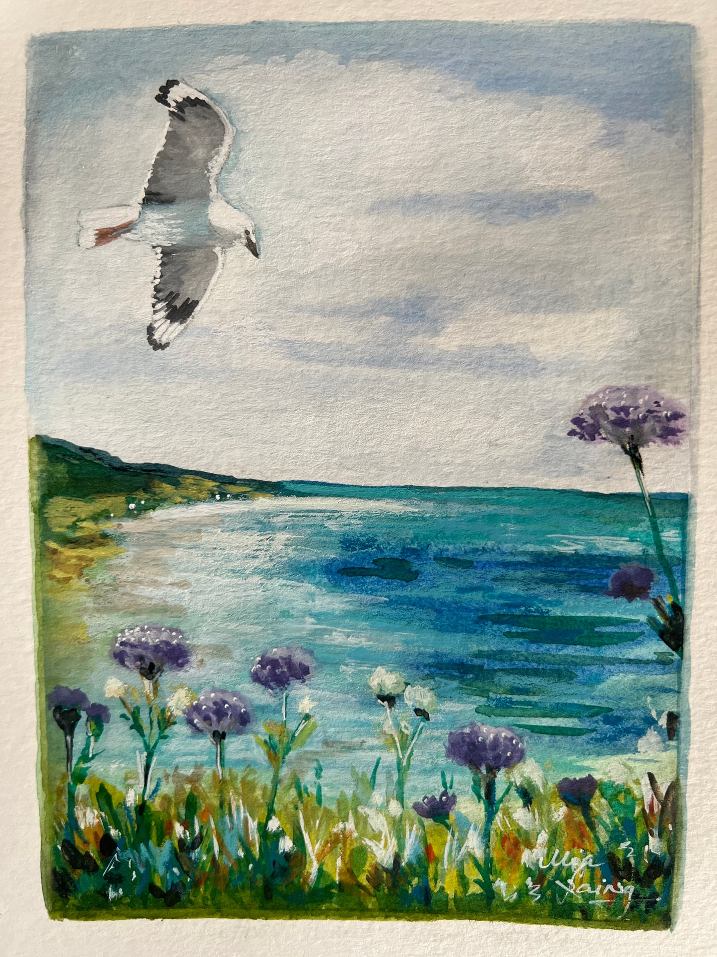 Little Paintings, Big Places - Rottnest Daisy
