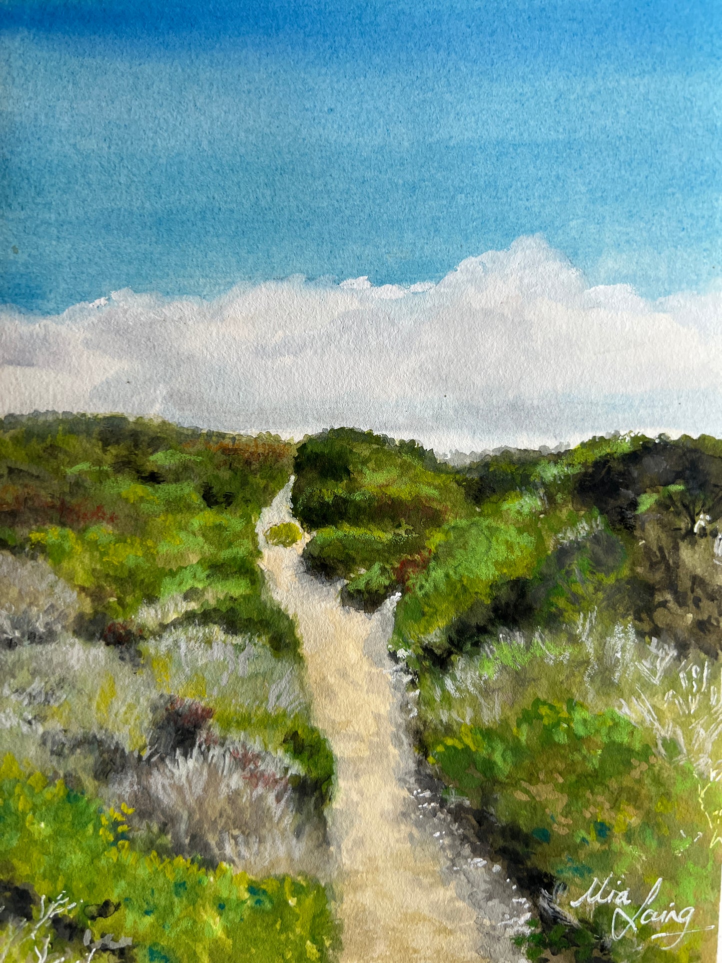 Little Paintings, Big Places - Cape To Cape, One Step At A Time