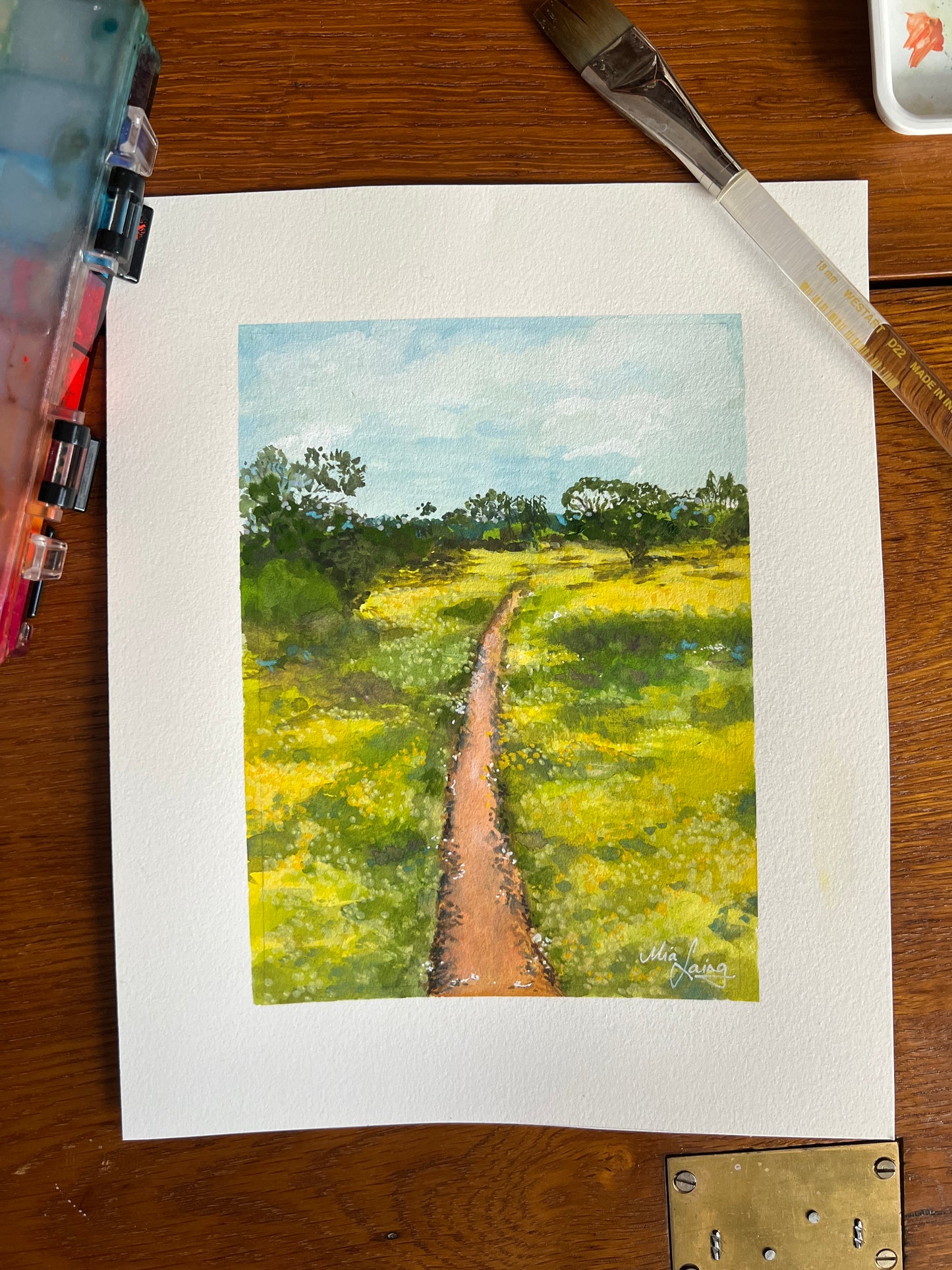 Little Paintings, Big Places - Wildflower Season