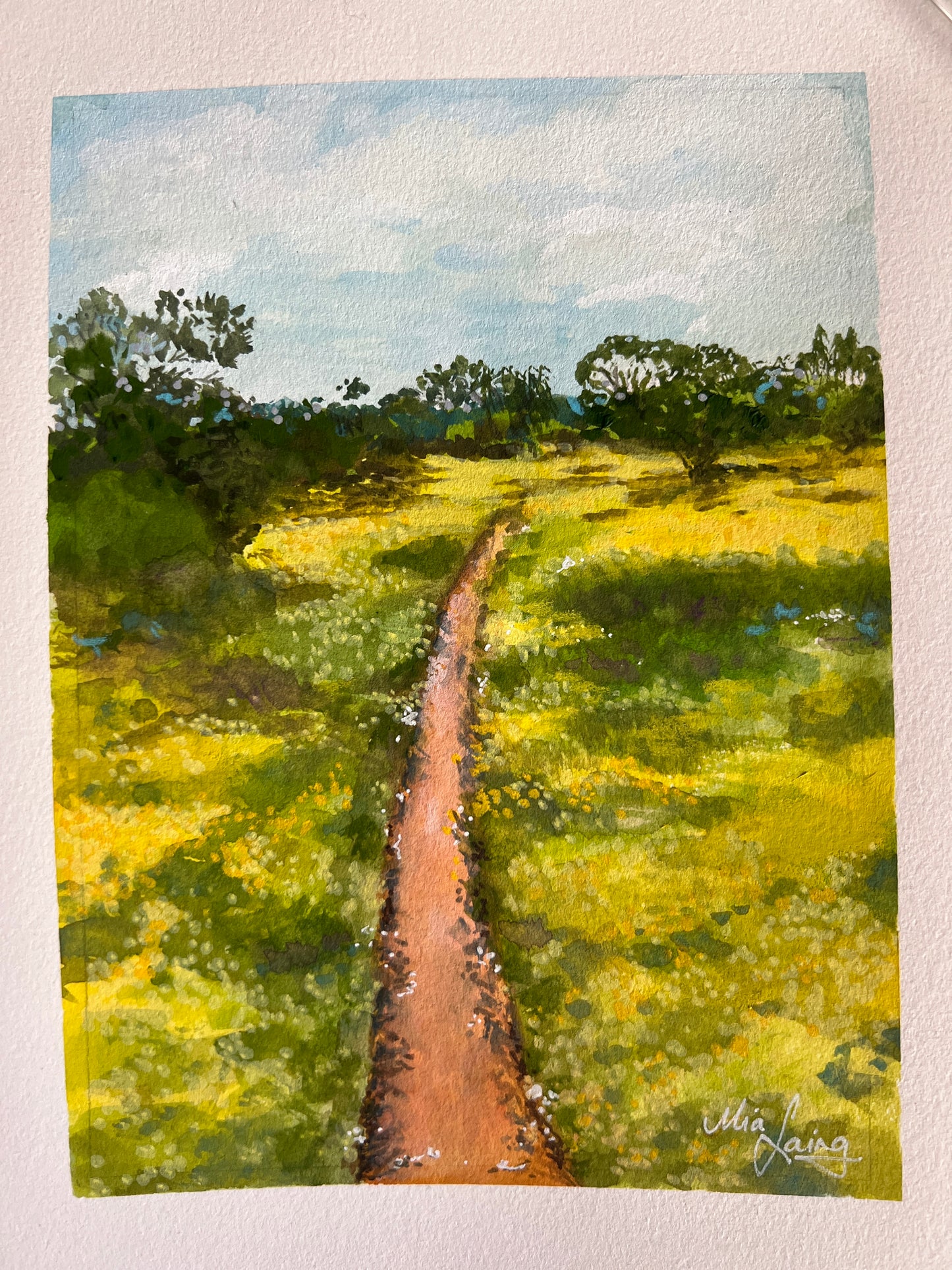 Little Paintings, Big Places - Wildflower Season