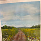 Little Paintings, Big Places - Wildflower Track