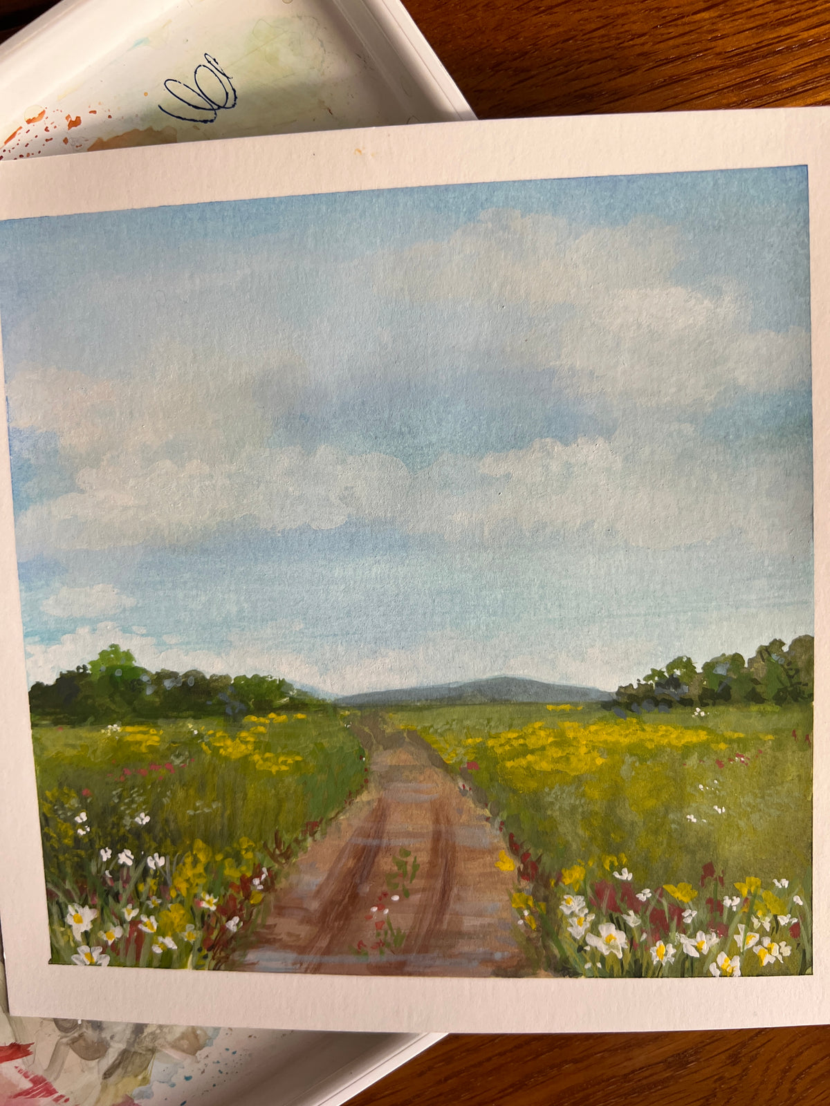 Little Paintings, Big Places - Wildflower Track