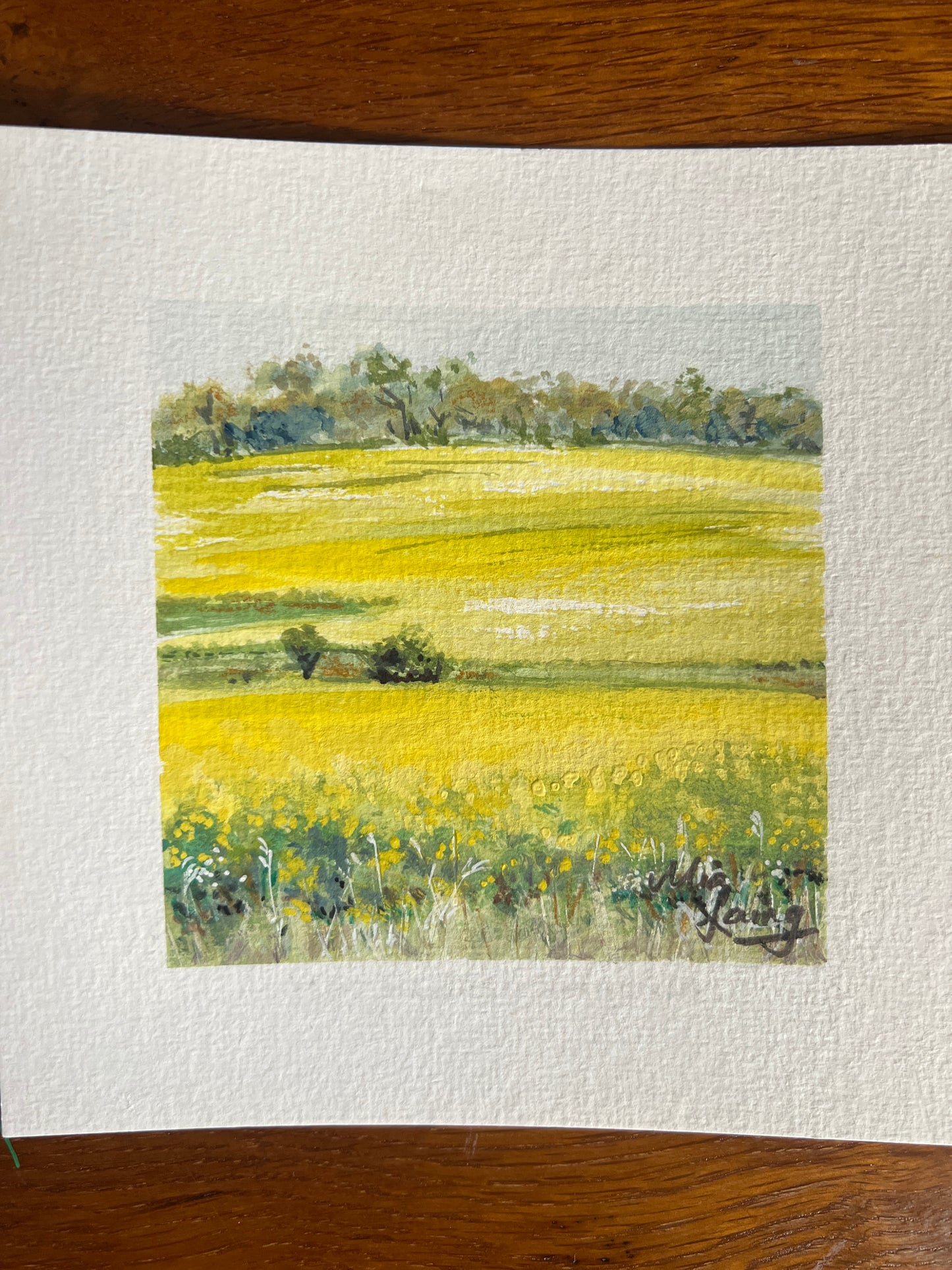 Little Paintings, Big Places - Fields of Gold