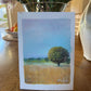 Little Paintings, Big Places - Wheat Field