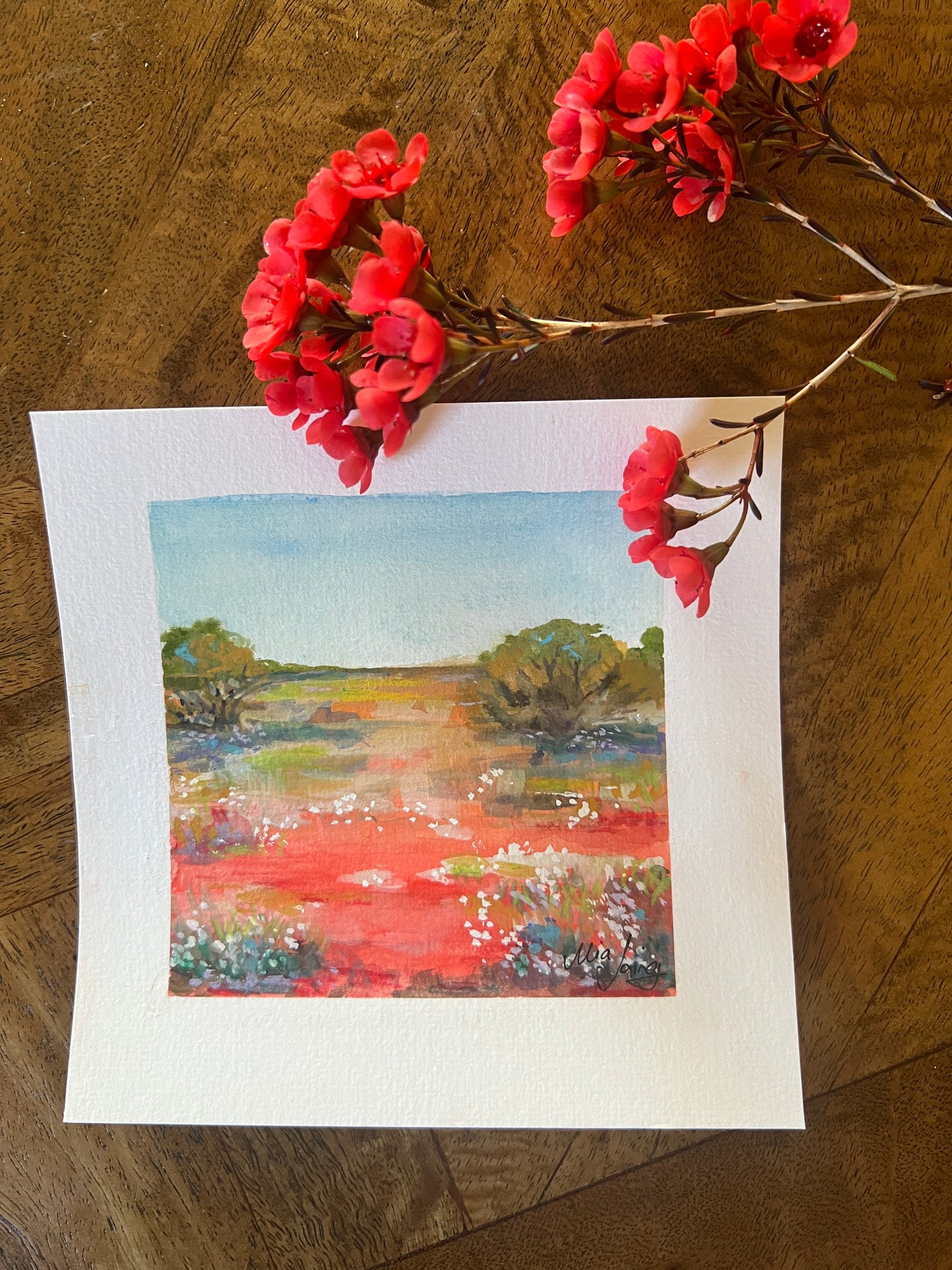 Little Paintings, Big Places - Red Dirt and Wildflowers