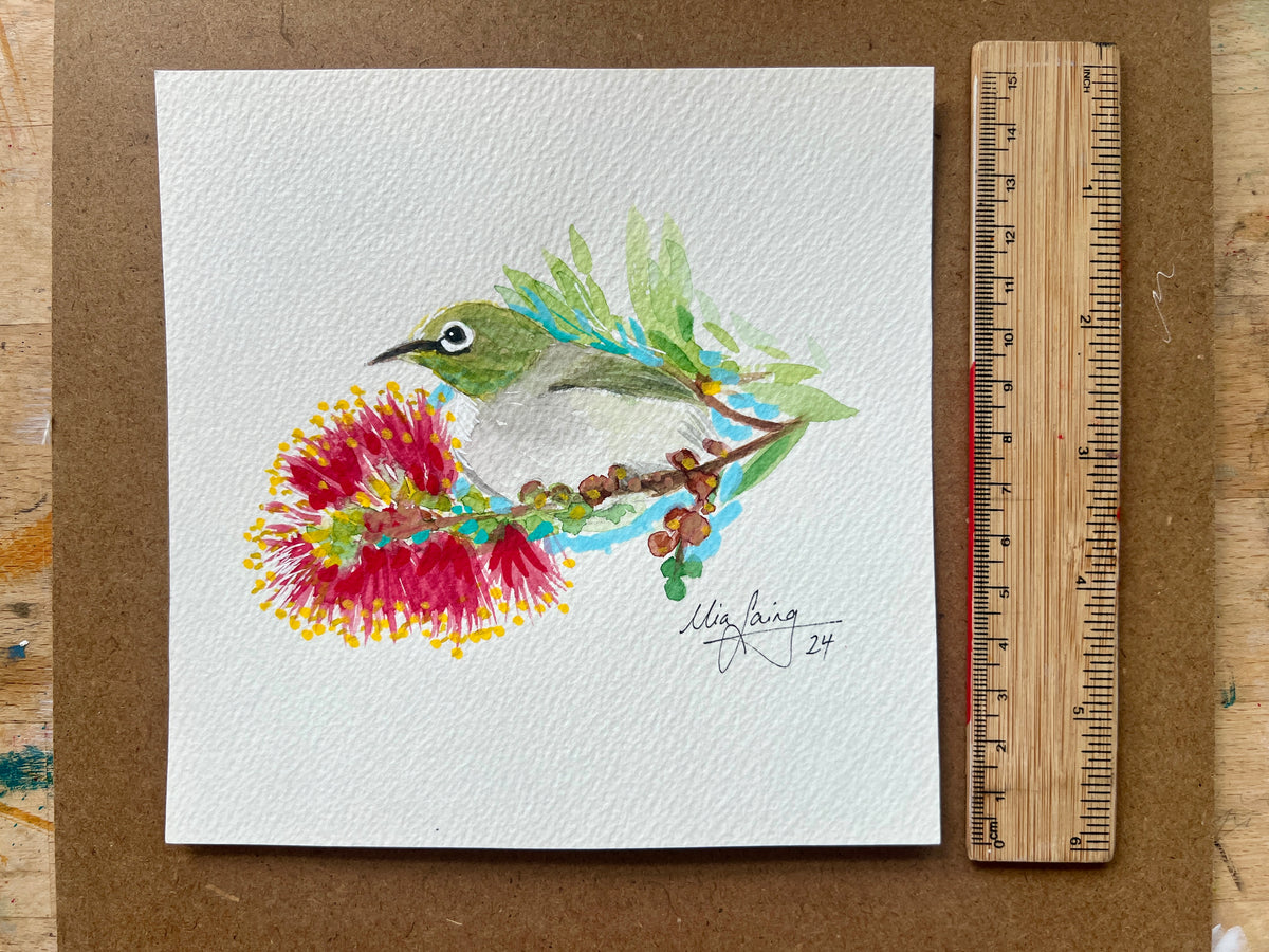 Little Gouache - Silvereye and Bottle Brush