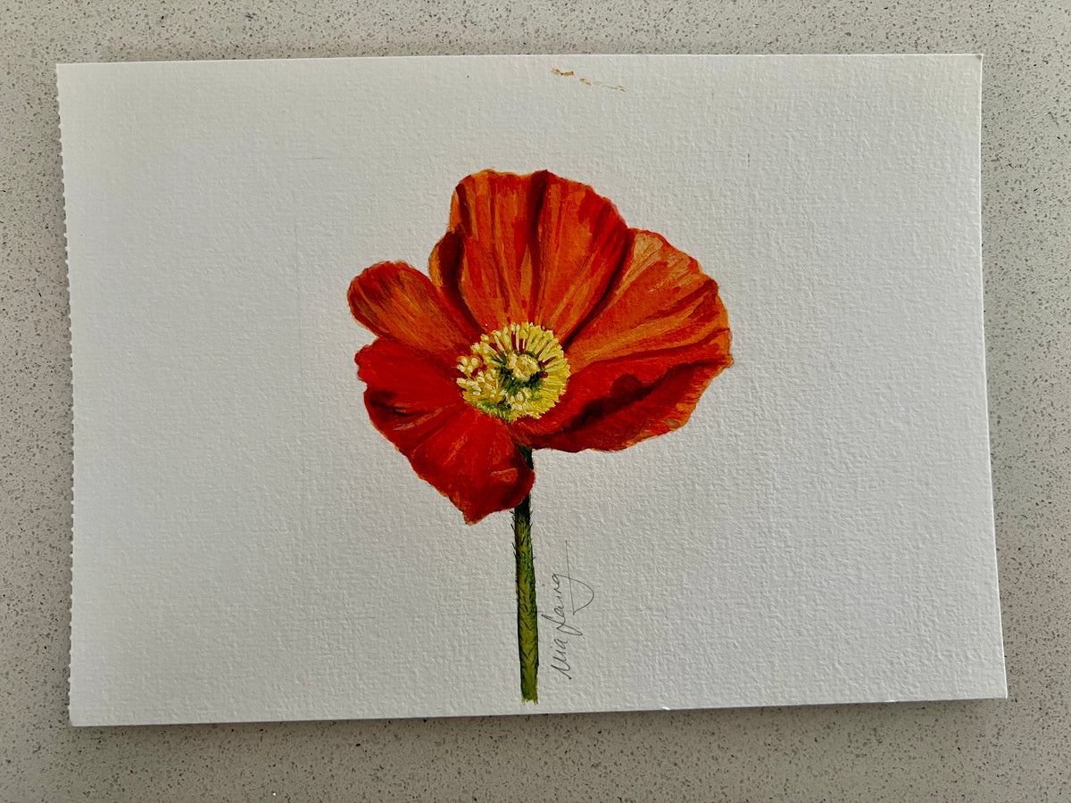 Little Gouache  - Poppy