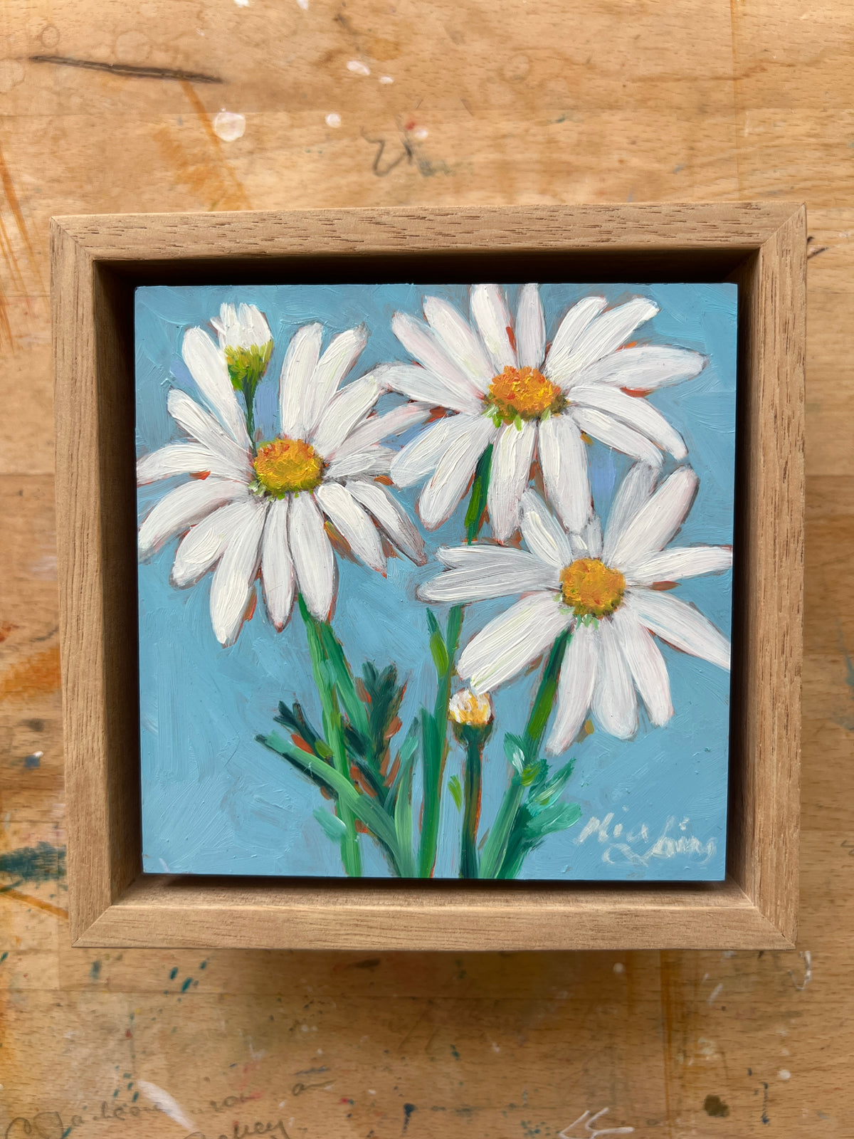 Daisies