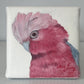 Little Things - A Little Painting Collection - Pink and Grey
