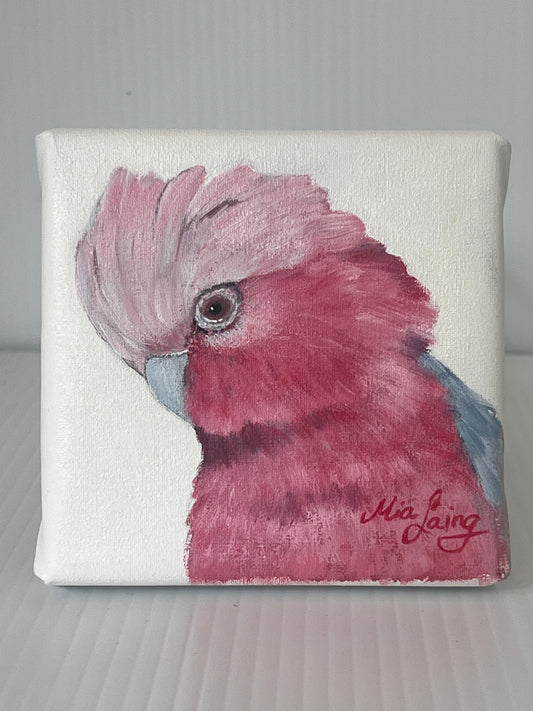 Little Things - A Little Painting Collection - Pink and Grey