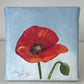 Little Things - A Little Painting Collection - Poppy
