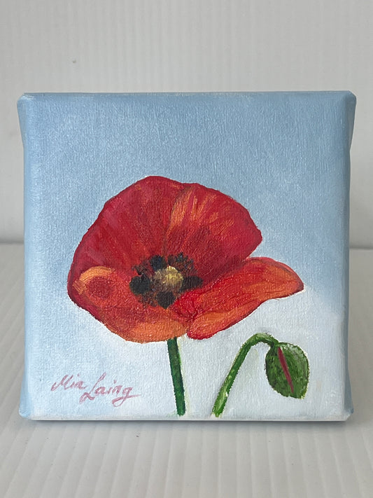 Little Things - A Little Painting Collection - Poppy