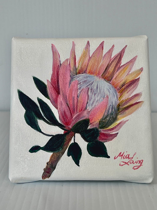 Little Things - A Little Painting Collection - Protea