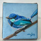 Little Things - A Little Painting Collection - Fairy Wren
