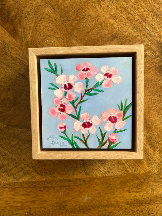 Wax Flower