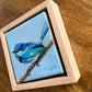 Little Things - A Little Painting Collection - Fairy Wren