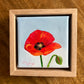 Little Things - A Little Painting Collection - Poppy