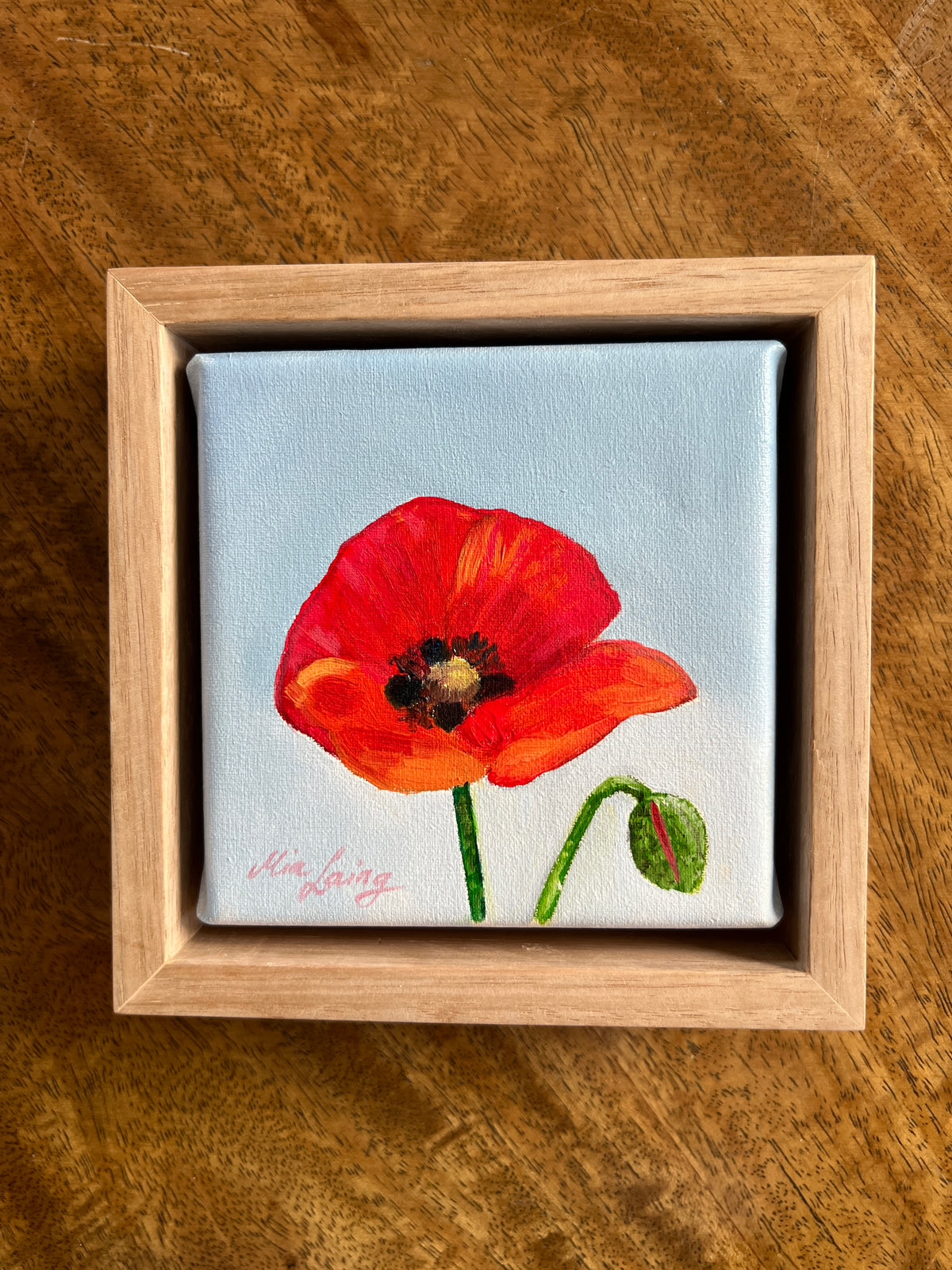 Little Things - A Little Painting Collection - Poppy
