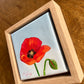 Little Things - A Little Painting Collection - Poppy
