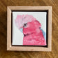 Little Things - A Little Painting Collection - Pink and Grey