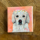 Little Things - A Little Painting Collection - My favourite Dog