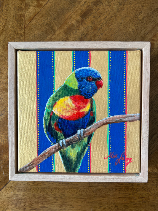 Golden Rainbow Lorikeet