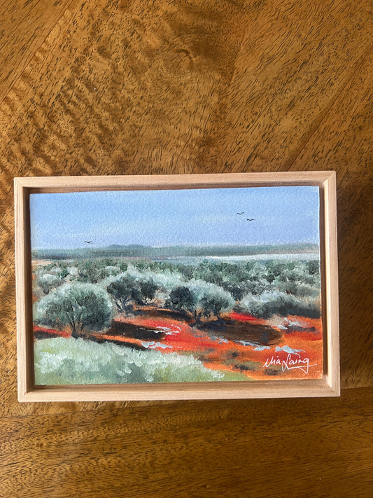 Littlest Little Thing - Outback Adventure