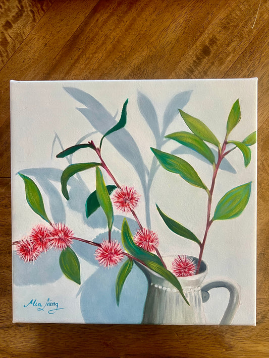 Hakea Shadow Play