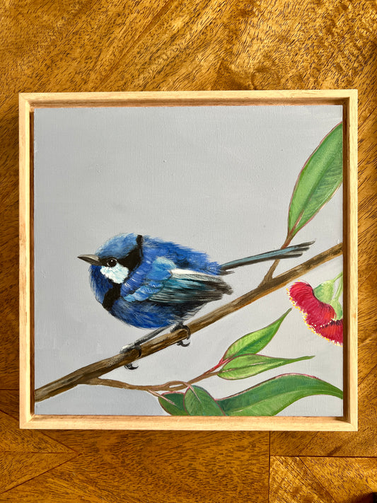 Blue Fairy Wren Whimsy