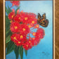 Little Oil - Red Gum Blossom