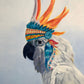 Chief