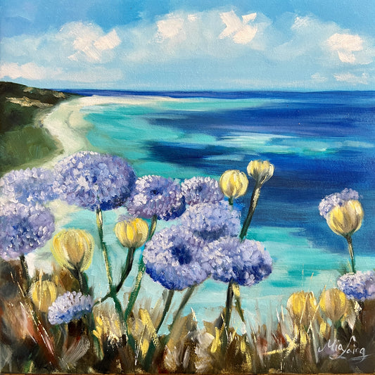 Rottnest Daisy