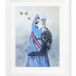 Budgie Ball - Fine Art Print