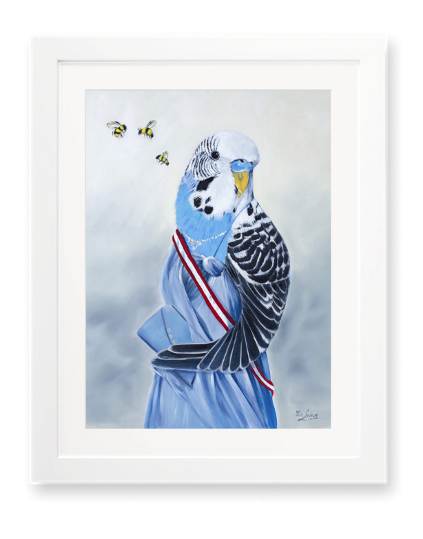 Budgie Ball - Fine Art Print