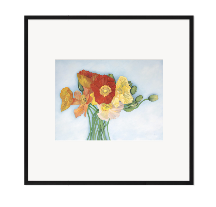 Colour Pop - Fine Art Print