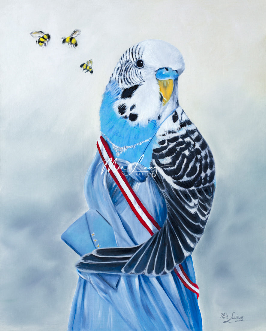 Budgie Ball - Fine Art Print